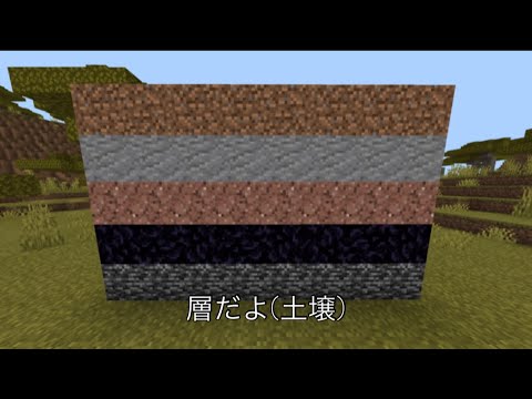 ニセ淫夢語録集（マイクラ）