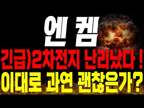 [엔켐 주가전망] 💥긴급💥2차전지 난리났다 !! 이대로 과연 괜찮은가?🔥 #전해액 #2차전지 #박순혁 #선대인tv 김프로 #msci편입