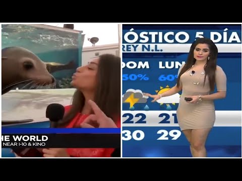 Most funny and embarrassing moments caught on Live TV | PART-1