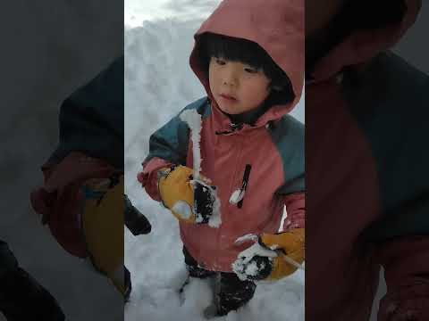 大雪の豊平どんぐり村パウダーパフパフ　「つらら」が欲しくて欲しくてたまらないらしいので探しまわってようやく体育館でみつけたよ　20250110