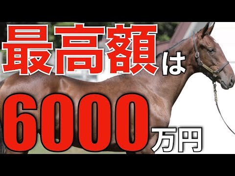 驚異の種付け料6000万円超え！2025年、世界の高額種牡馬ランキング。