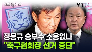 큰 변수 맞이한 축구협회장 선거...허정무 손 들어준 법원 [지금이뉴스] / YTN