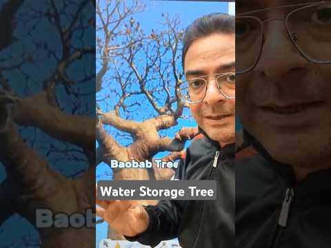 Largest Water Storage Tree | #pradeepsirbiology #prasir #experiment #science #medical