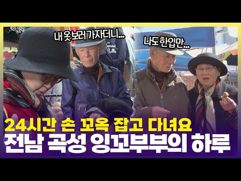 “아내랑 데이트가 제일 재밌어~” ❣️아내밖에 모르는 아흔의 사랑꾼  [6시 내고향] | KBS 250306 방송