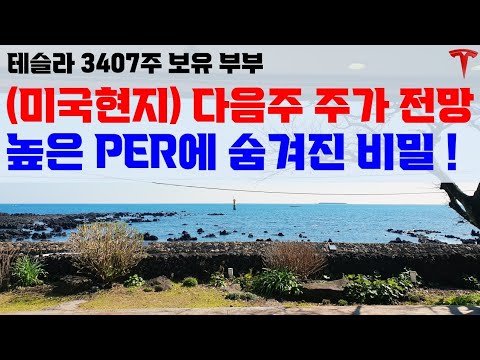 미국 현지 유튜버들의 영상을 보며 다음주 주가 흐름을 상상해 봅니다!