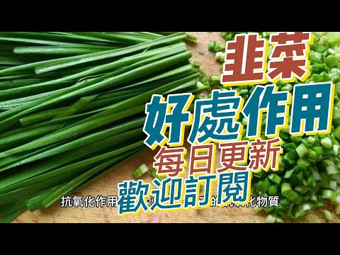 EP162 韭菜（Chives）好處和作用 富含維生素和礦物質 支持骨骼健康 健康  養生 天然 食