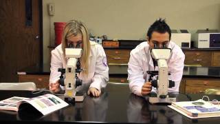 Southern Nazarene University Excellence in Science