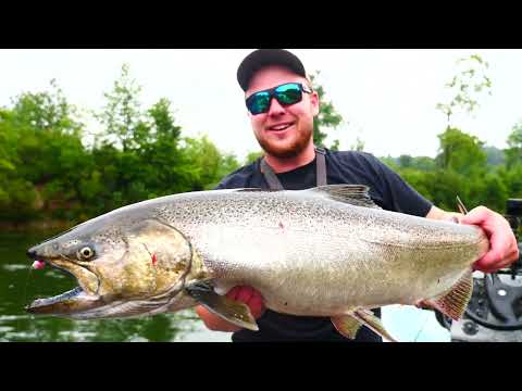 Michigan River Salmon Fishing