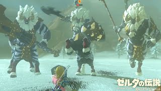 世界が絶賛した史上最高の神ゲー『 ゼルダの伝説 ブレス オブ ザ ワイルド 』#16