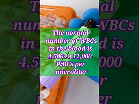 wbc count normal range | White Blood Cells #white cells