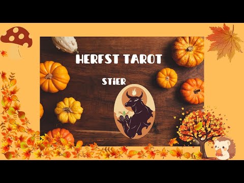 HERFST TAROT STIER   Een nieuwe uitdaging