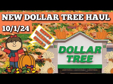 Check Out My Latest Dollar Tree Finds: Haul 10/1/24!