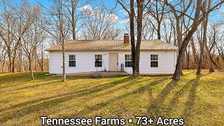 Tennessee Farms For Sale | $500k | Tennessee Land For Sale | Save Your Taxes | Low Taxes Property