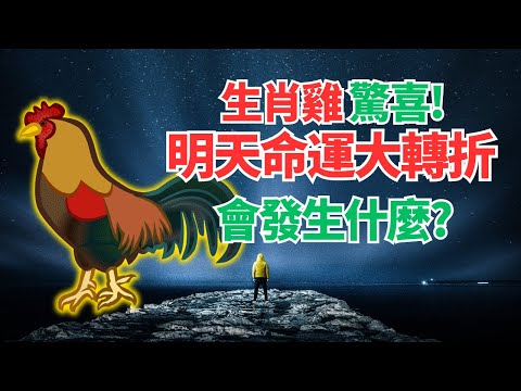 生肖雞，26日很特別，你吉星高照，爆炸性的改變要來，你命運轉折想不到！不可不看！快接！ #2024年屬雞運程 #2024生肖雞運勢 #2024属鸡运势 #2024属鸡运程