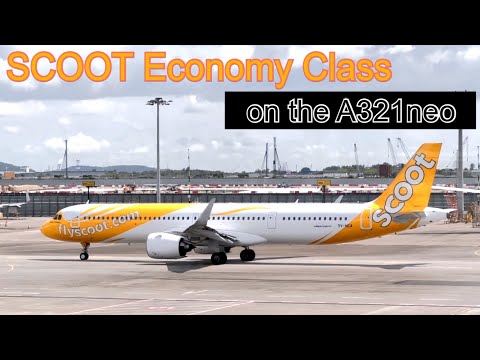 Scoot Economy Class: Scoot A321neo flight to Bangkok