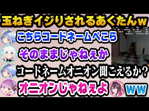 トランシーバー芸であくたんを玉ねぎイジりするぺこらｗ【ホロライブ切り抜き//兎田ぺこら/湊あくあ/白上フブキ/あずき】