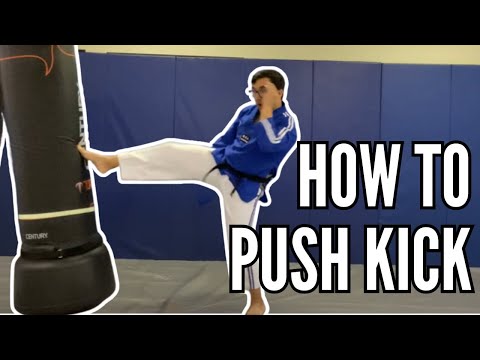 How To Push Kick Tutorial | Catholic Karate Lesson At Home