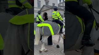 Police horse at the Palace London #londonlife