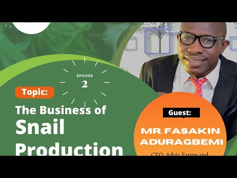 The Business of Snail Production Episode 2