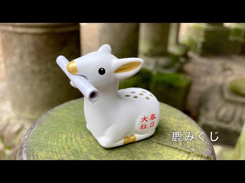 【春日大社〜東大寺】明恵上人と春日明神の邂逅を辿る旅　Travel to Nara