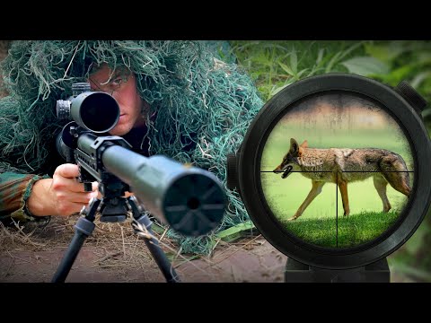 Hunting with Air Powered Sniper Rifle!