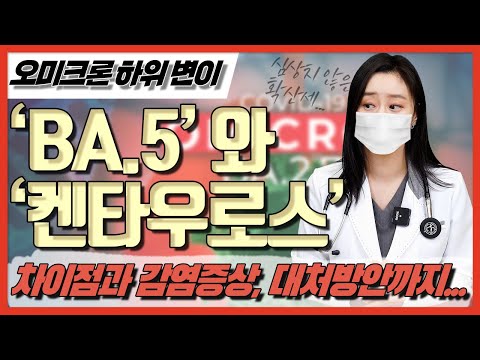 오미크론 하위 변이 BA.5와 켄타우로스는 무엇일까?