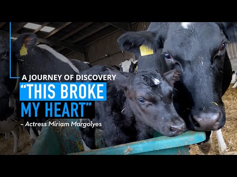 "This Broke My Heart" - Actress Miriam Margolyes About The Dairy Industry