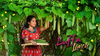 Luffa(Ridge gourd) vine to Lunch table & only chance to see the "Cuttlefish Flower" | Traditional Me