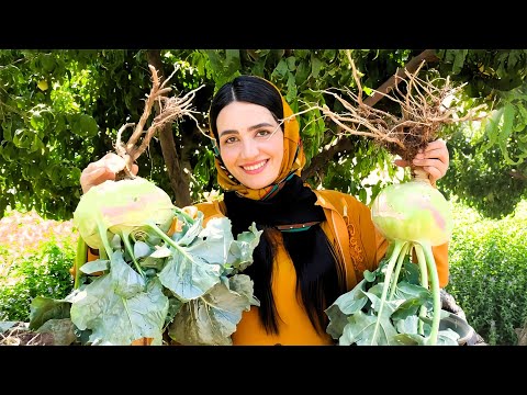 Cooking Secret Village Food to Prevent Cancers | Village Life Iran