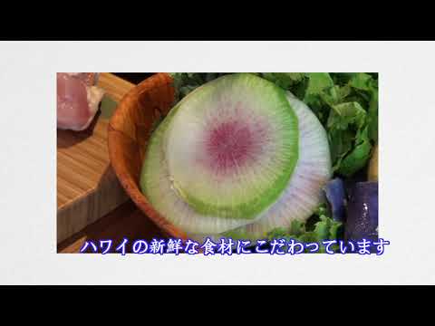 創作居酒屋みのり [Hawaii Web TV]