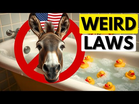 101 Ridiculous US Laws That Will Make You Question Reality