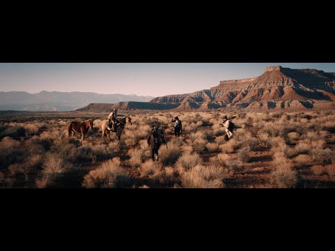 The National Parks || The Tale of the Wildflower (Official Music Video Trilogy)