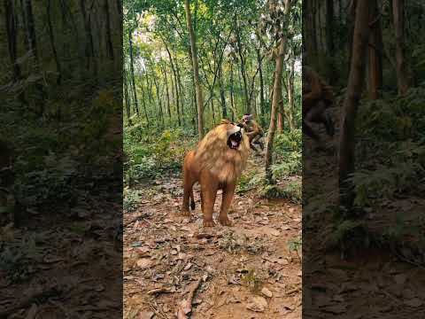 Lion 🦁 attack in jungle #vfxshorts #junglewildlife #wildjungle #trend #nature #junglelife #animals