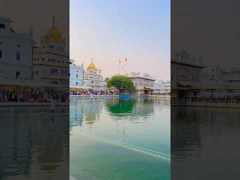 Dhan guru ram Das ji 🌸#wmk #amritsar #trending #viral #youtubeshorts #live #punjab #goldentemple