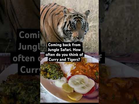 Curry & Tigers: A Spicy Adventure in India! 🐯🍛 #wildlifememe