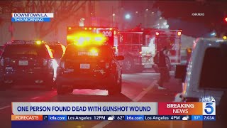 Man shot dead in downtown Los Angeles smoke shop 