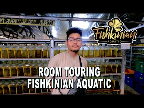 ROOM TOURING FISHKINIAN AQUATIC    PONDOK CABE TANGSEL