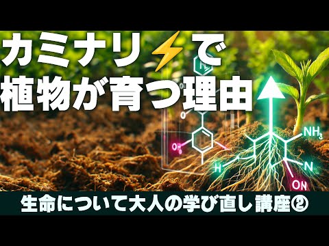 0からはじめる化学・生物学【植物生理学への道シリーズ②】化学反応式と構造式