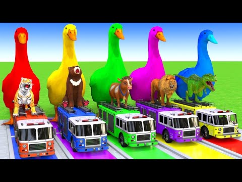 5 Giant Duck Cartoon_Cow_Elephant_Tiger_Lion_Dinosaur_Paint Wild Animals Crossing Fountain Animation