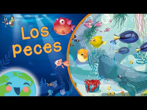 Los Peces para Niños (Videos Educativos para Niños)