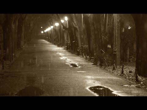 Nostalgic Atmosphere with Relaxing Sounds of Rain Falling on the Alleys of an Old Park at Night