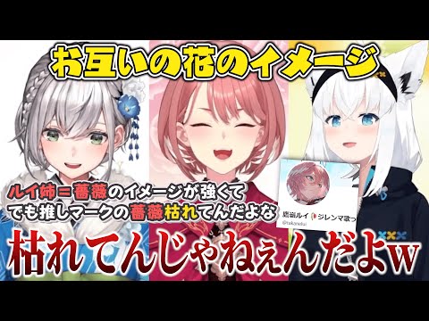 お酒の場をいいことにルイ姉をいじりまくる団長＆フブさん【ホロライブ切り抜き/鷹嶺ルイ/白銀ノエル/白上フブキ】