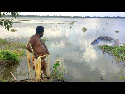 Amazing cast net fishing skills |  traditional cast net fishing in village