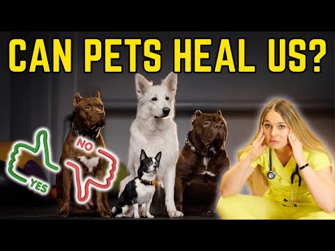 The 5 Ways Pets Heal Humans! | Veterinarian Explains