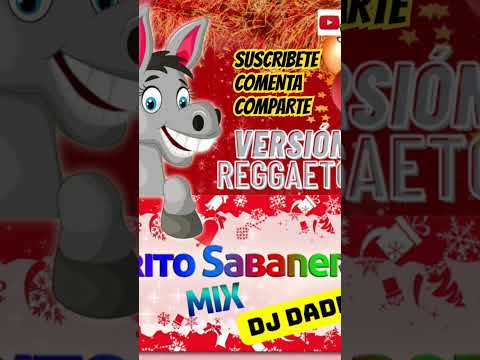 Mi burrito Sabanero (Perreo) #miburritosabanero #navidad #perreo #fiesta #dj #musica