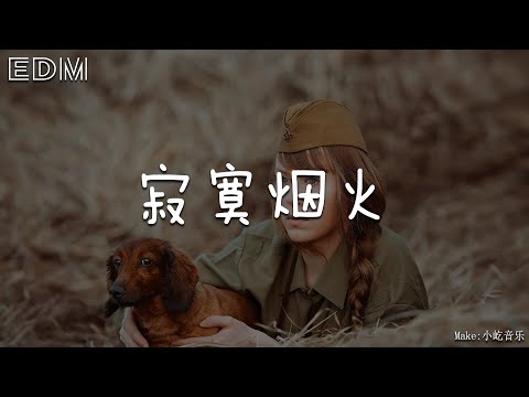 蓝心羽 寂寞烟火🎧抖音热门歌曲 🎧 EDM 中文歌曲 华语 Music