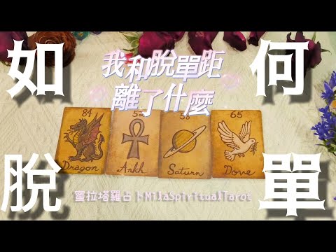 近期要如何脫單呢？宇宙的建議是？【蜜拉塔羅占卜MilaSpiritualTarot】