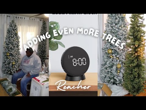 We're Adding Even MORE Christmas Trees! Time is on Your Side ft Reacher 🎄 Vlogmas Day 6