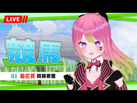 【競馬 負け】#菊花賞 同時視聴【 #箱乃なかみ 】