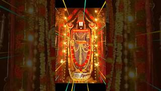 tirumalavasa Sri Venkateshawara Govinda #piligrims #devotionalsongs #venkateswarasongs #viralvideo